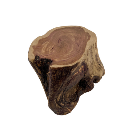 Wooden log slice on a white background.