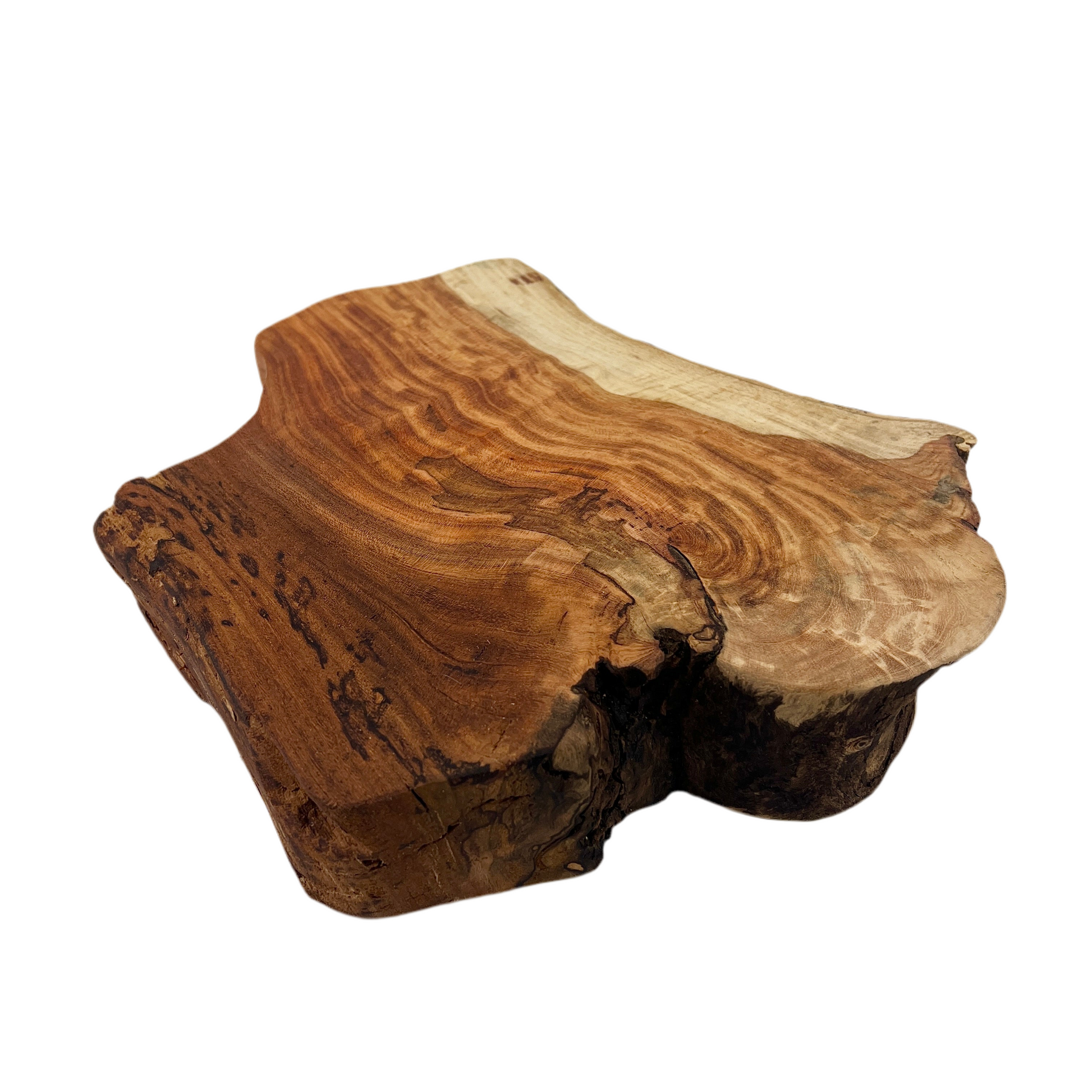 Wooden log with natural grain and texture on a white background