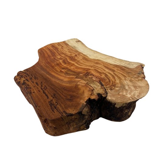 Wooden log with natural grain and texture on a white background