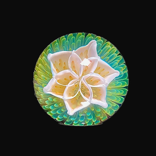 Decorative item with a white flower on a green and blue circular background