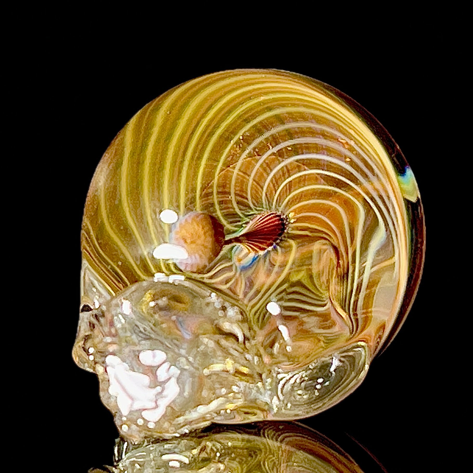 Glass sculpture of a skull on a black background
