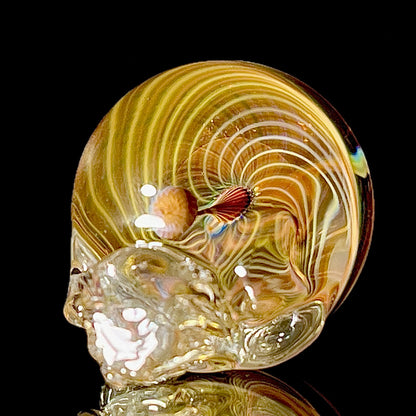 Glass sculpture of a skull on a black background