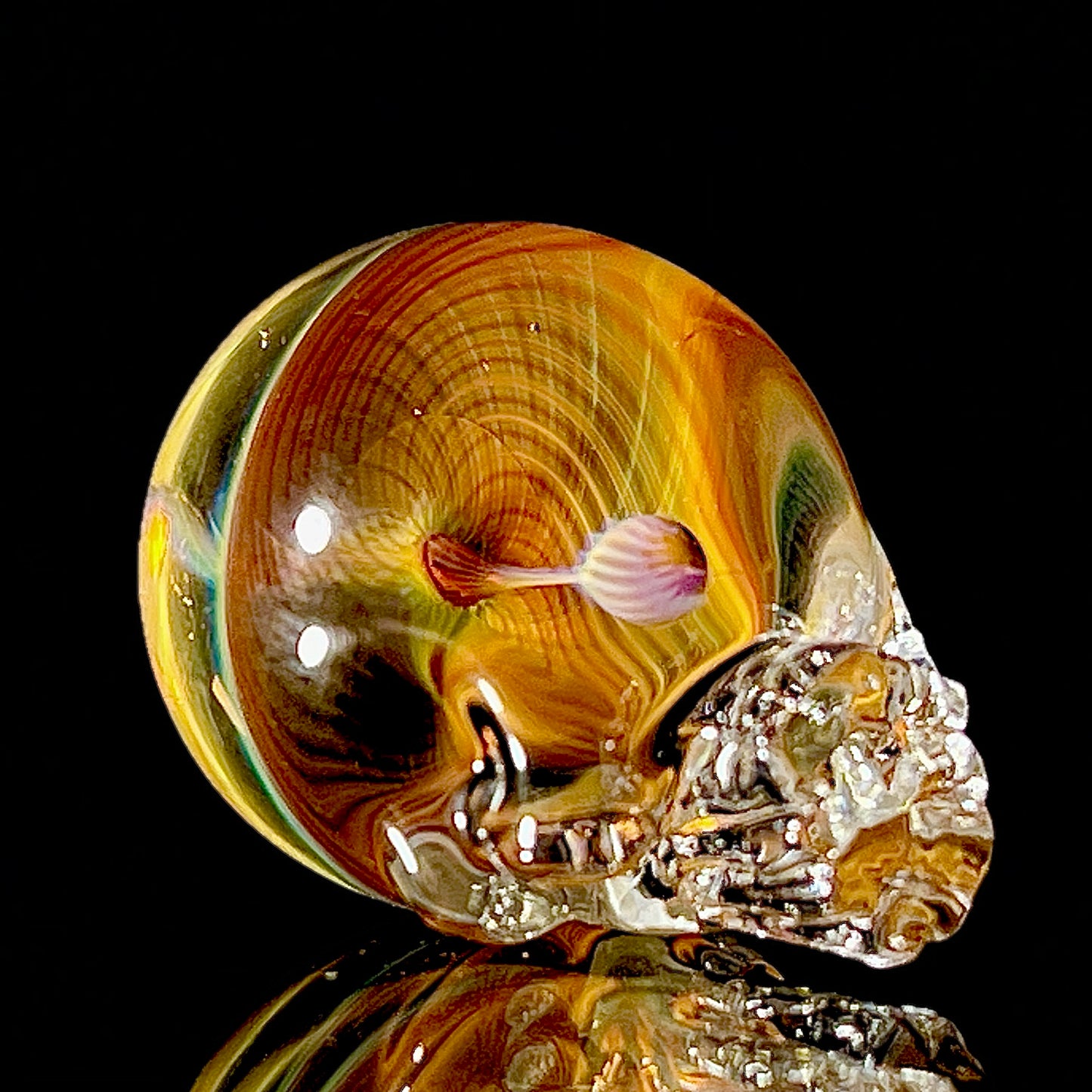 Glass skull with a detailed interior on a black background