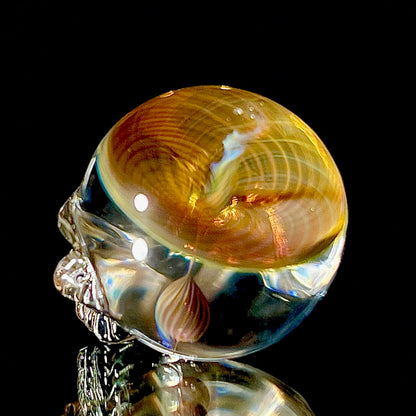 Glass skull with a multicolored interior on a black background