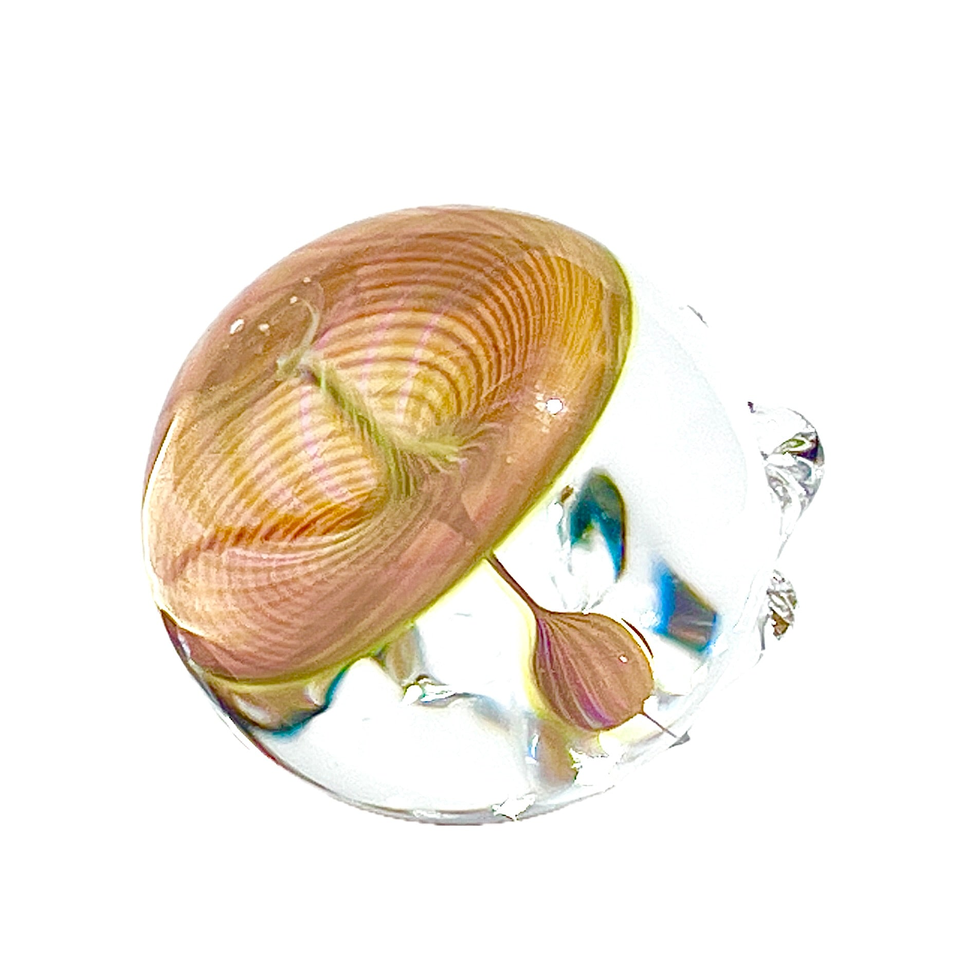 Glass sculpture of a skull with a clear base on a white background