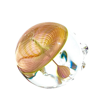 Glass sculpture of a skull with a clear base on a white background