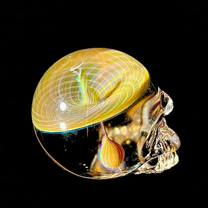 Glass skull with a yellow spiral design on a black background