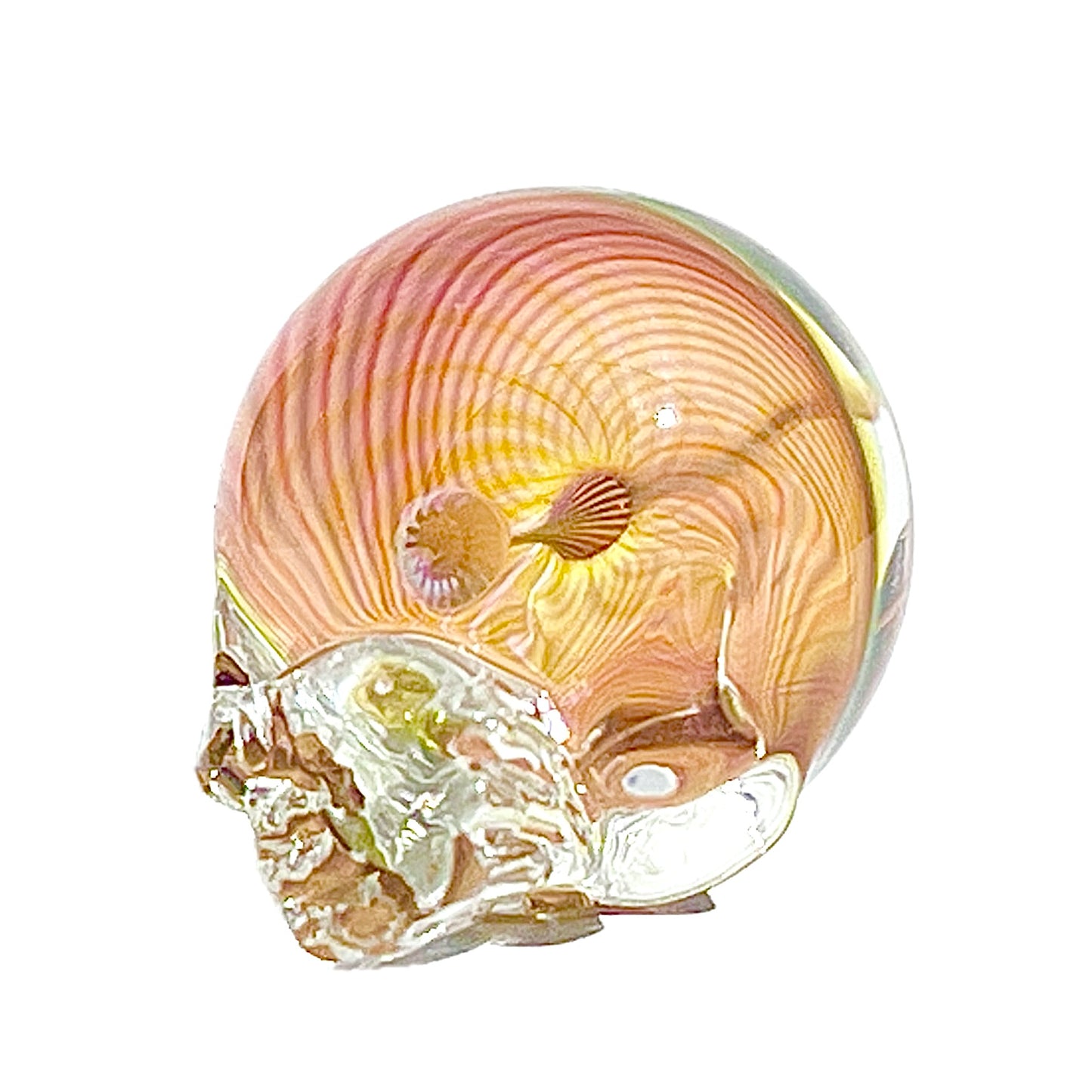 Glass sculpture of a skull with a fume spiral inside on a white background